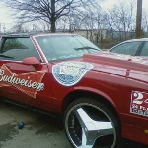 Meet your Posher, Willie